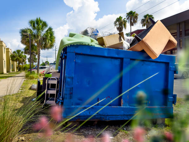 Best Recycling Services for Junk  in Dundee, MI